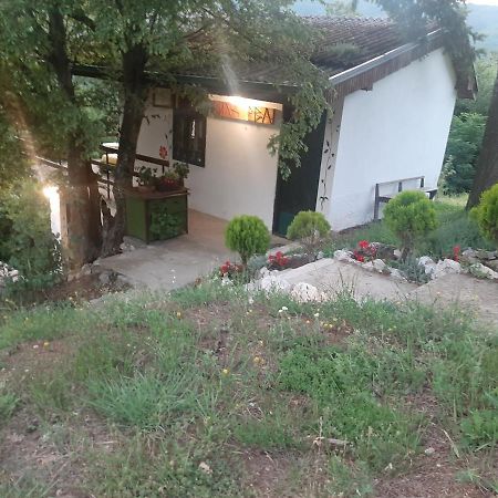 Vila Eva Meduvrsje Εξωτερικό φωτογραφία