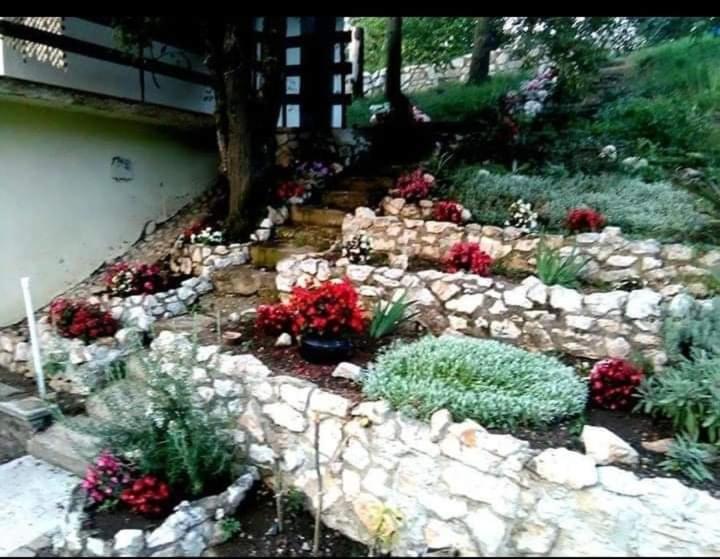 Vila Eva Meduvrsje Εξωτερικό φωτογραφία