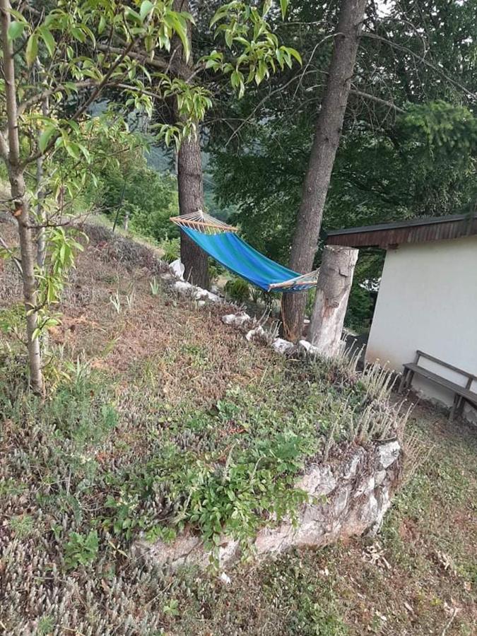 Vila Eva Meduvrsje Εξωτερικό φωτογραφία