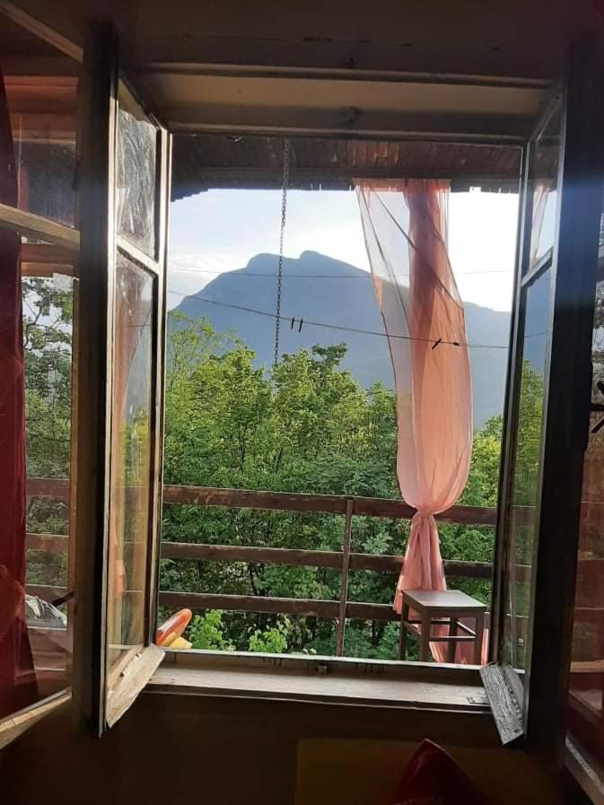 Vila Eva Meduvrsje Εξωτερικό φωτογραφία