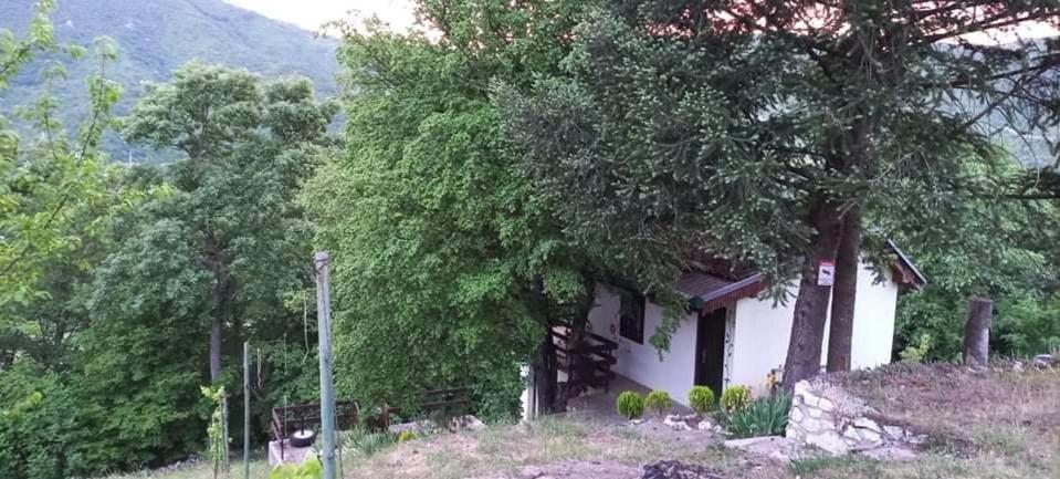 Vila Eva Meduvrsje Εξωτερικό φωτογραφία