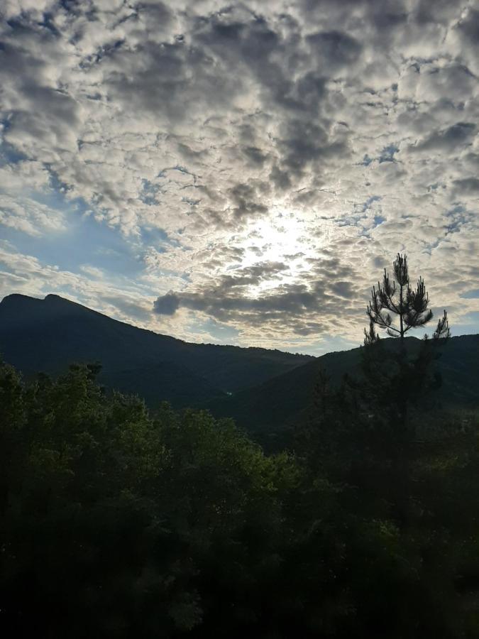 Vila Eva Meduvrsje Εξωτερικό φωτογραφία