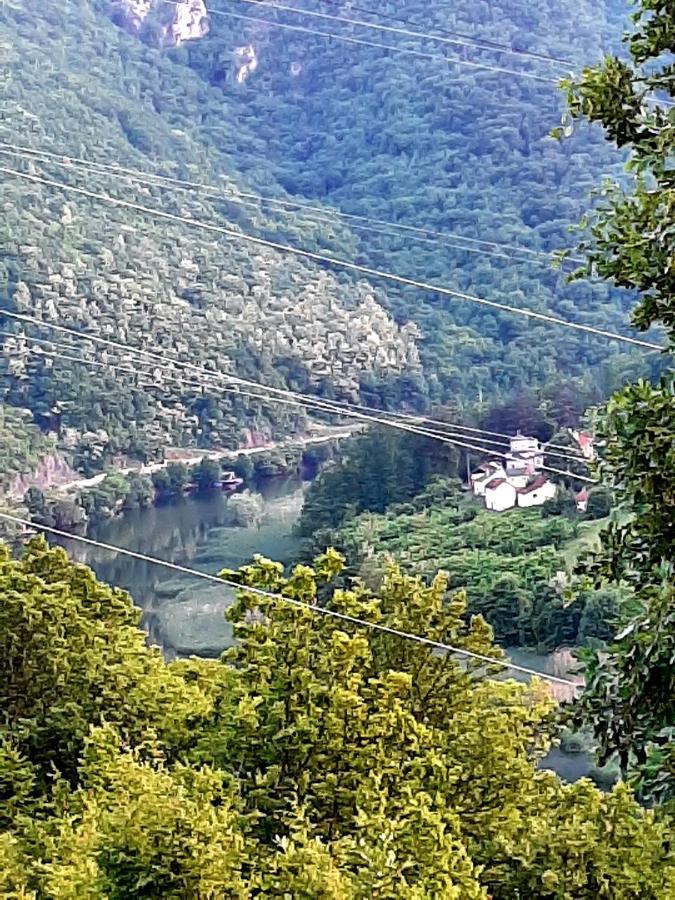 Vila Eva Meduvrsje Εξωτερικό φωτογραφία