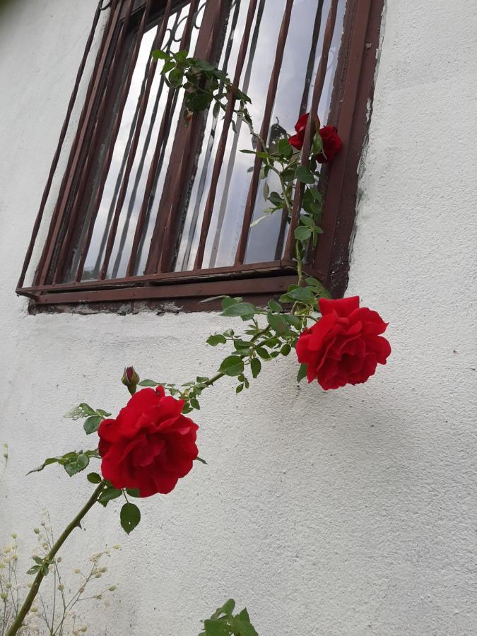 Vila Eva Meduvrsje Εξωτερικό φωτογραφία
