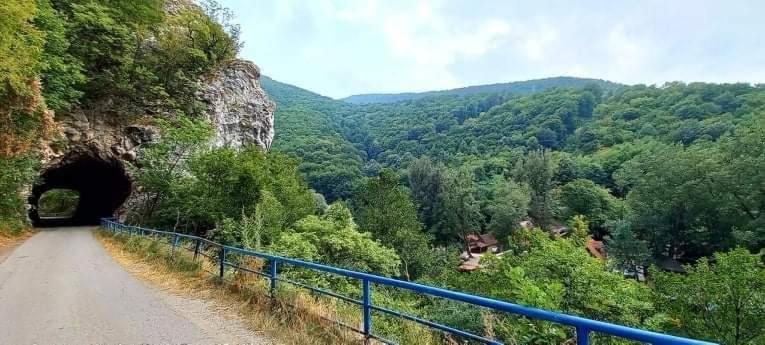 Vila Eva Meduvrsje Εξωτερικό φωτογραφία