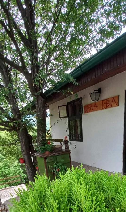 Vila Eva Meduvrsje Εξωτερικό φωτογραφία