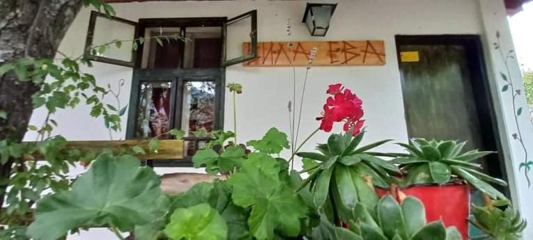 Vila Eva Meduvrsje Εξωτερικό φωτογραφία