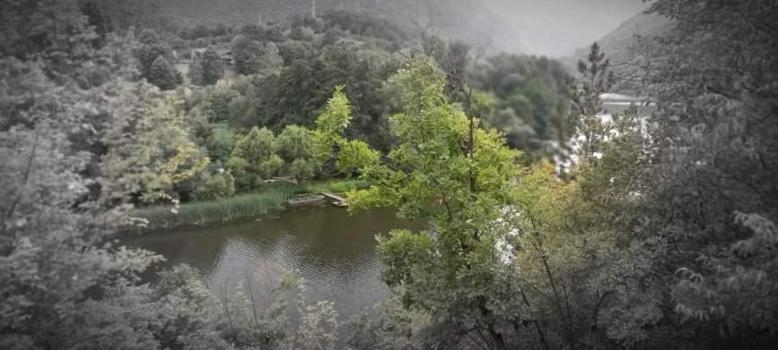 Vila Eva Meduvrsje Εξωτερικό φωτογραφία