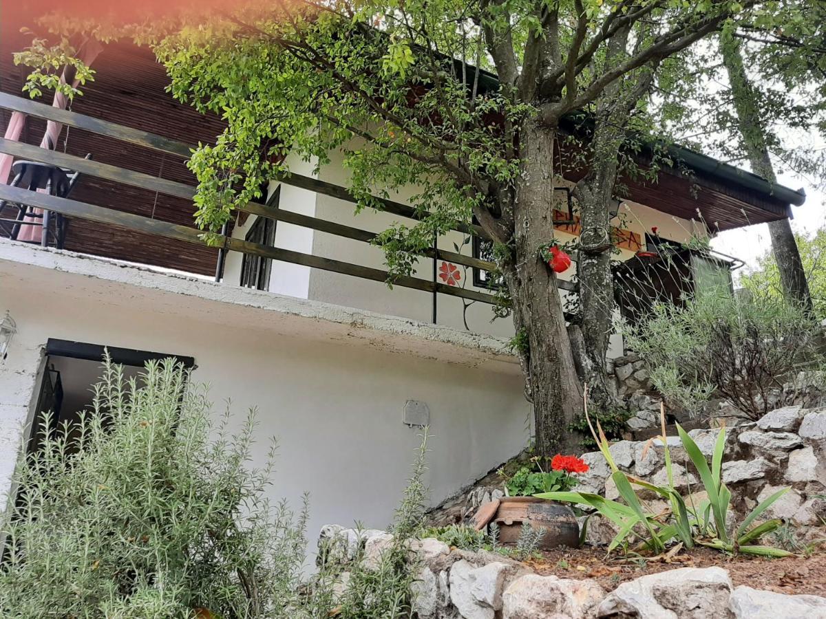 Vila Eva Meduvrsje Εξωτερικό φωτογραφία