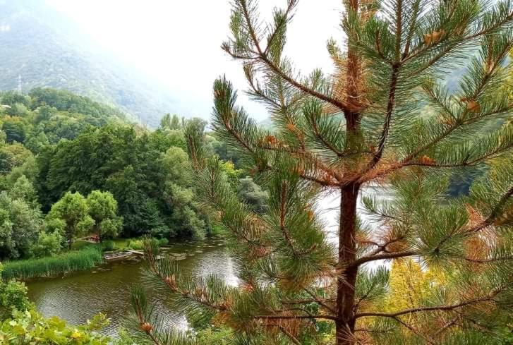 Vila Eva Meduvrsje Εξωτερικό φωτογραφία