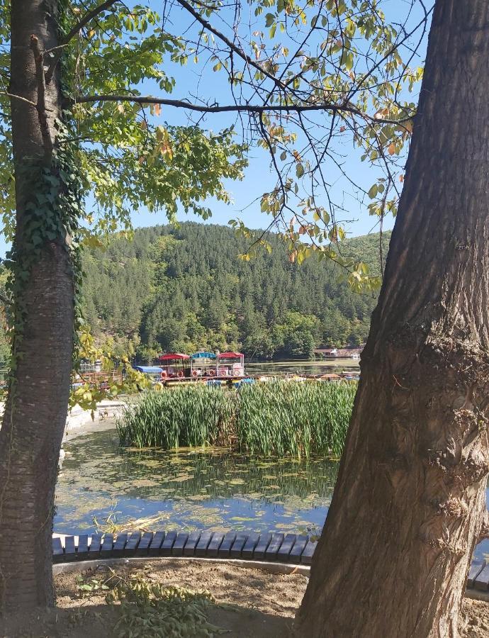 Vila Eva Meduvrsje Εξωτερικό φωτογραφία