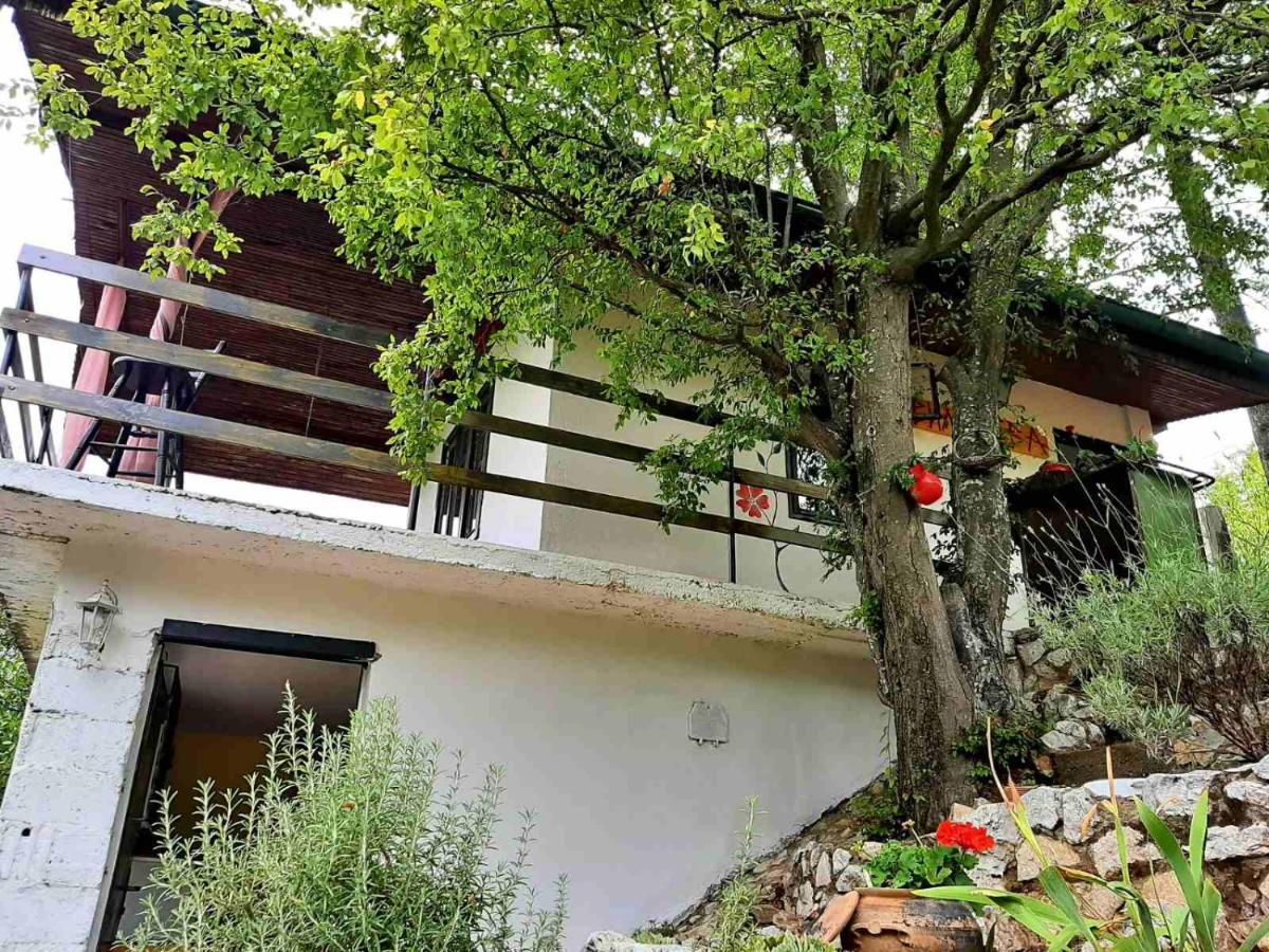 Vila Eva Meduvrsje Εξωτερικό φωτογραφία