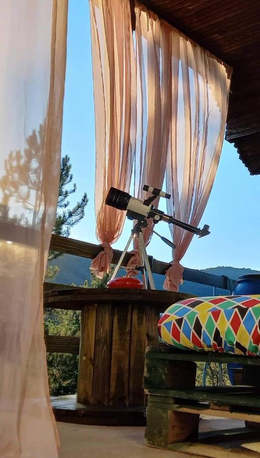 Vila Eva Meduvrsje Εξωτερικό φωτογραφία
