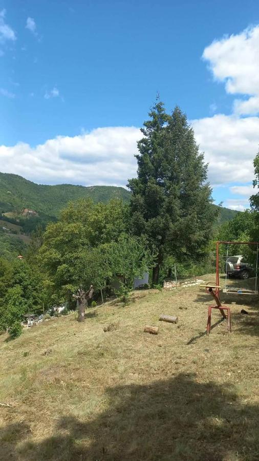 Vila Eva Meduvrsje Εξωτερικό φωτογραφία