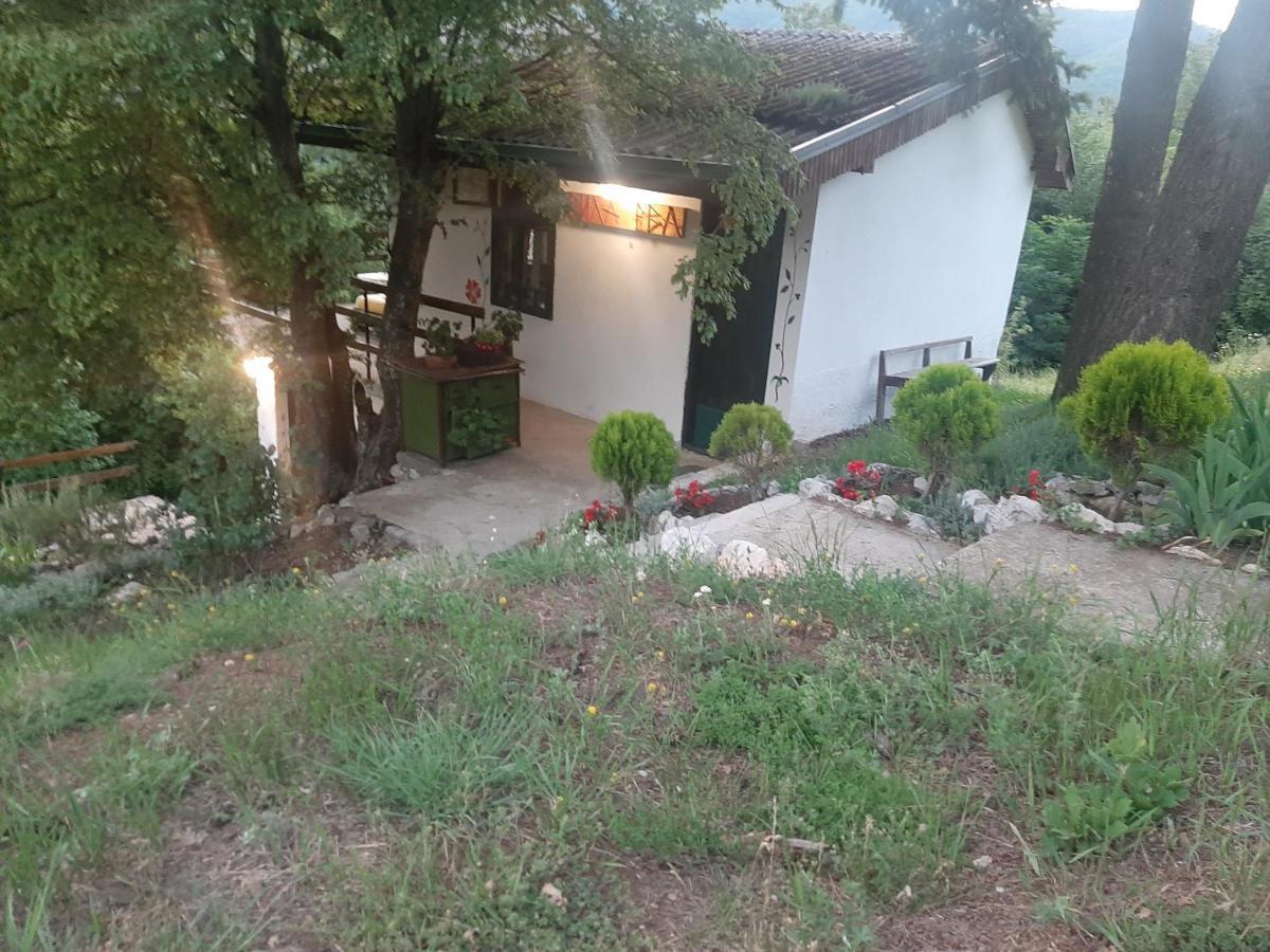 Vila Eva Meduvrsje Εξωτερικό φωτογραφία