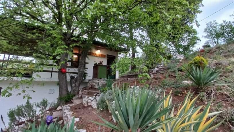Vila Eva Meduvrsje Εξωτερικό φωτογραφία
